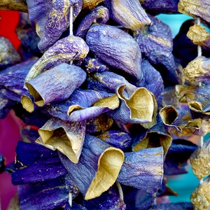 Fruits mauves qui sèchent sur un fil - Turquie  - collection de photos clin d'oeil, catégorie plantes